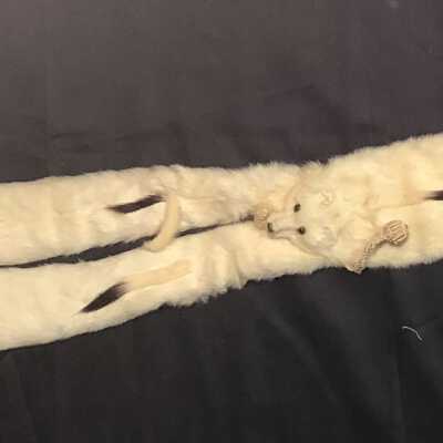 Ermine tippet with silk attachments, early 1900