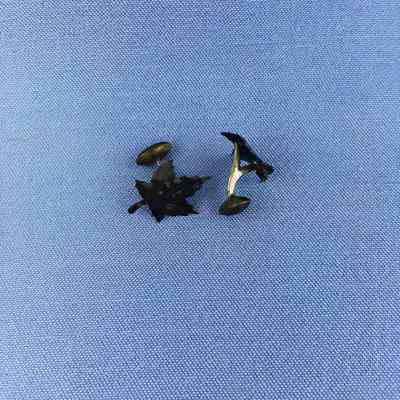 Pair of silver maple leaf cufflinks of the Toye family, early 1900s
