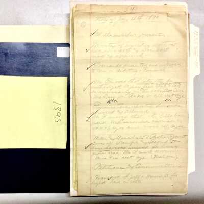 Minutes of meetings of the Board of Trustees, 1893