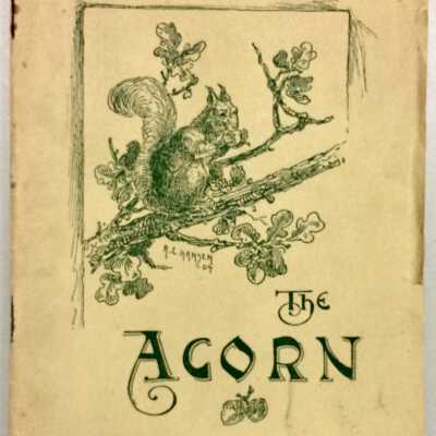 Alameda High School Year Book, 'The Acorn', Feb. 1905