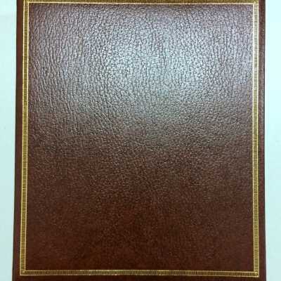 Scrapbook about the Adelphian Club, 1981-1983