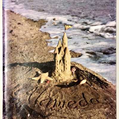 'Alameda' community guide and directory, 1984