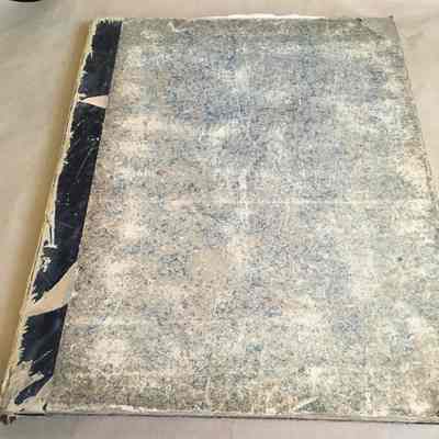 Bound editions of the Alameda Argus, 1881-1882