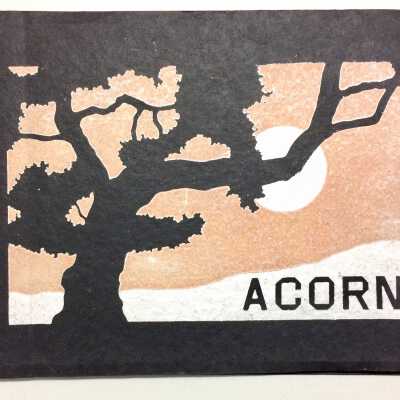 Alameda High School 'Acorn' Yearbook, of Carol Tripp, 1913
