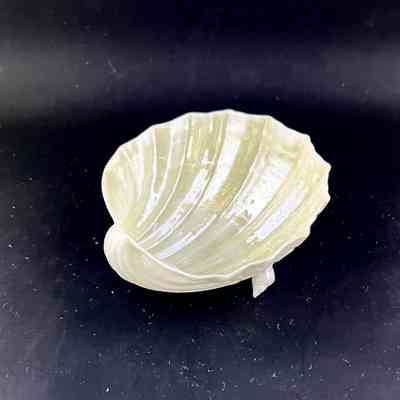 Shell-shaped Irish Beleek porcelain footed salt dish of the Blake-Dyer residence