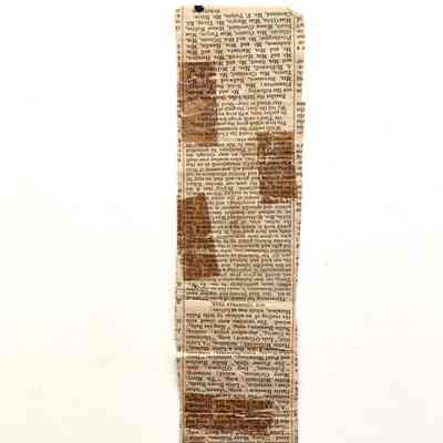 Newspaper Clipping about Christmas on Bay Farm Island, 1880s