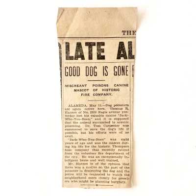 Newspaper Clipping poisoning Mascot dog Thompson Hose Company No. 1, 1905