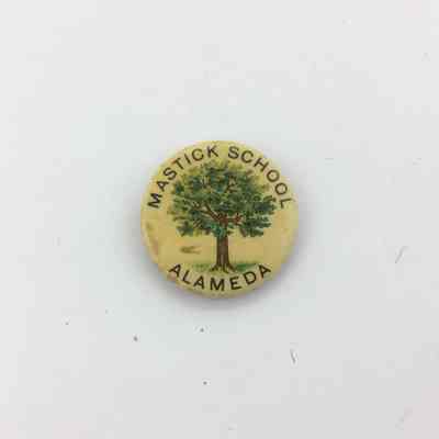 Celluloid covered Mastick School button, early 1900s