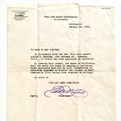 Tree Squirrel permit, 1924
