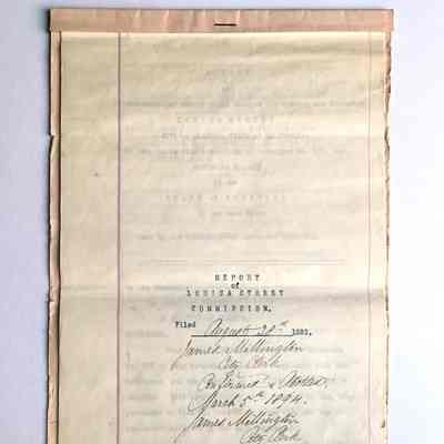 Typed Assessment Report of Louisa Street commission, 1893-1894