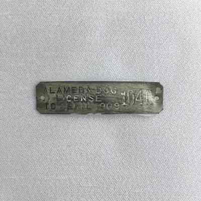 Rectangular Dog License, #1040, 1909