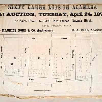 Flyer with subdivision map '60 Large Lots', 1877