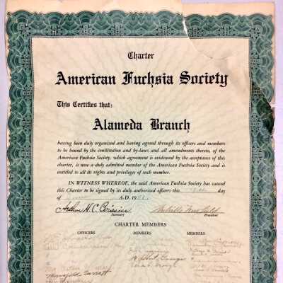 Charter of the American Fuchsia Society, certifying the Alameda Branch, 1951