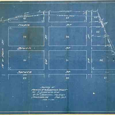 Blueprint Survey of Portion of Woodstock Tract, 1917