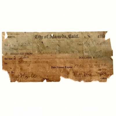 Receipt for dog license for Louis Torre, 1921