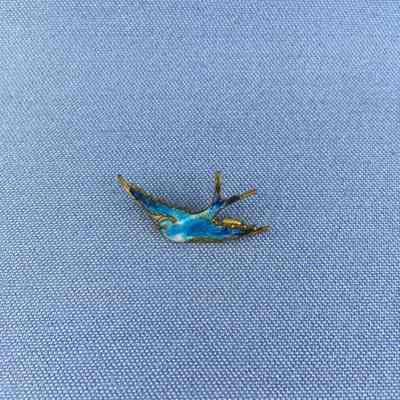Brooch of blue bird in flight of enameled brass, c. 1910-1920