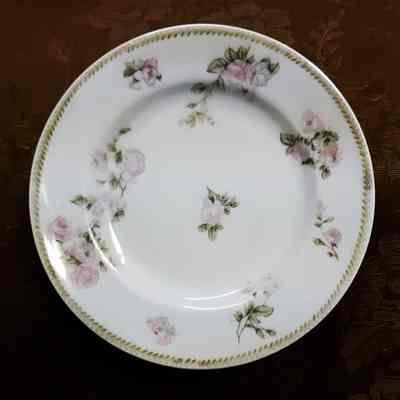 Austrian Luncheon plates of the McDonell family, early 1900s