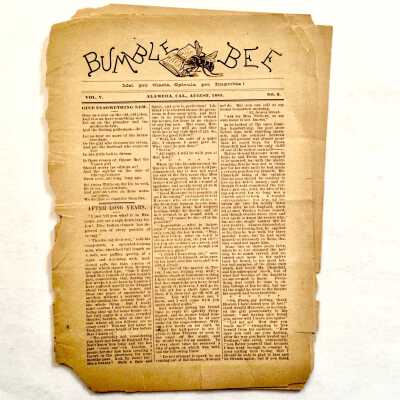 'Bumble Bee' of August 1885