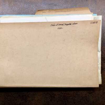 Folder of copies of the City Budget and personnel salary date, 1917-1919