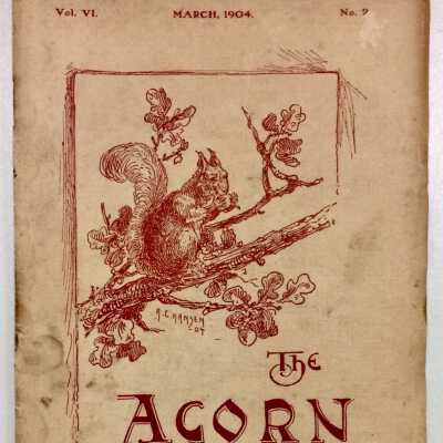 Alameda High School Yearbook 'The Acorn', 1904
