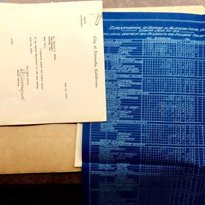 File containing Statistics from the Health Department, 1918-1919