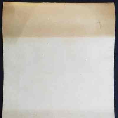 Discoloration: likely from having in the past been stored next to an object made of acidic paper.