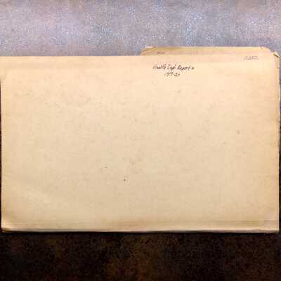 Folder with papers from the City Health Department, 1919