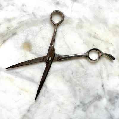 Pastry scissors from Hofmann's Bakery, c. 1920-1970