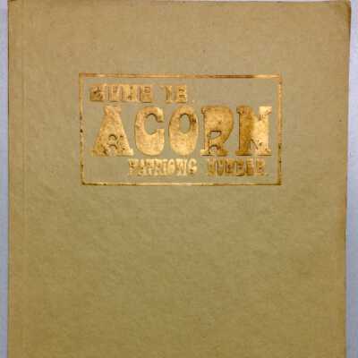 Patriotic edition of the Alameda High School 'Acorn', 1918