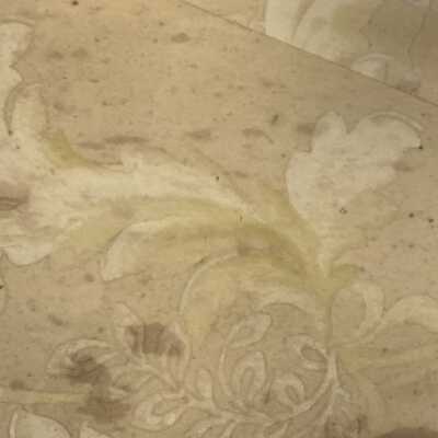Wallpaper Sample, 424 Santa Clara Ave, Ca. 1880s