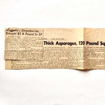 Clipping of Times-Star article 'Alameda Strawberries', by V. V. Scott, 1963