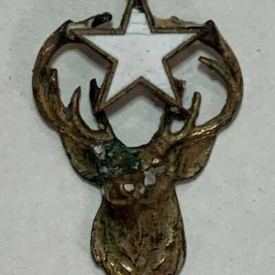Brass fraternity charm of Elk's head with white star of Otto Rittler, 1920-1930