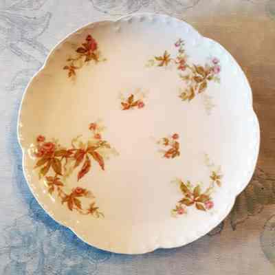 De Haviland luncheon plate of the Cox family, c. 1900