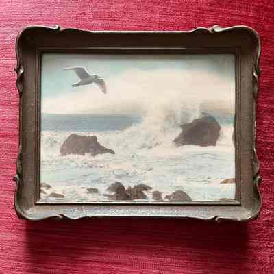 Framed photo of an ocean scene with seagull, c. 1920
