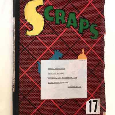 Scrapbook compiled by H. D. Maynard, 1934, Volume No. 17