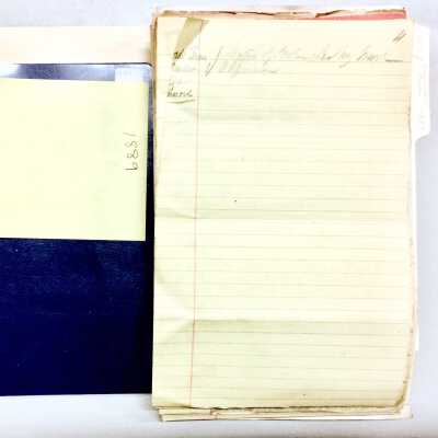 Minutes of meetings of the Board of Trustees, 1889