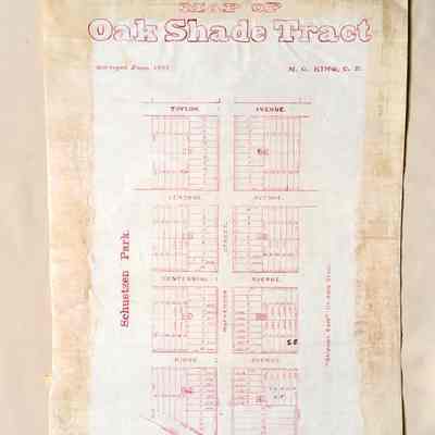 Prototype map Oak Shade Tract, McPherson (Ninth) / Shoreline / Taylor, 1877