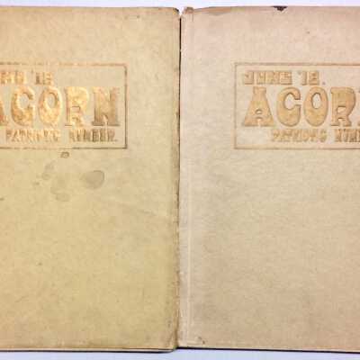 Alameda High School 'The Acorn' Yearbook, June 1918