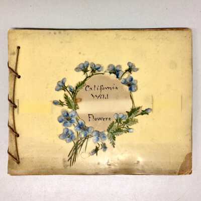 Booklet 'California Wild Flowers' by Miss E.C. Alexander, 1895