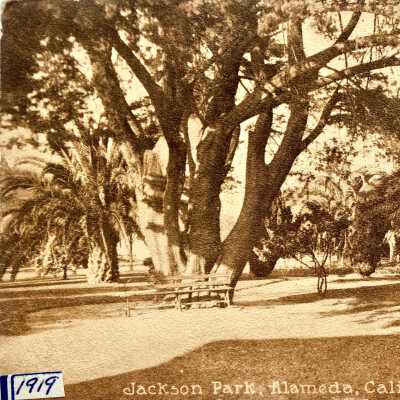 Postcard of Jackson Park, 1918