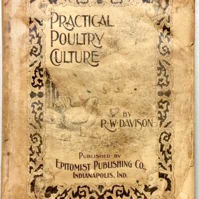 Practical Poultry Culture, by R. W. Davison, 1898
