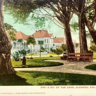 Postcard depicting section of Chochenyo Park. c. early 1900s