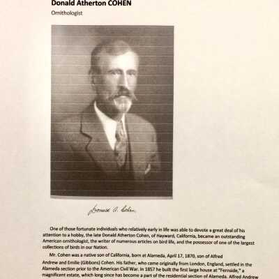 Print-out of Biographical information of Donald Atherton Cohen, 1945