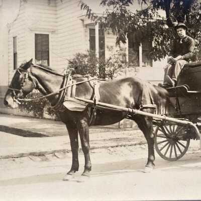 Photo postcard horsedrawn wagon and driver, c. 1912