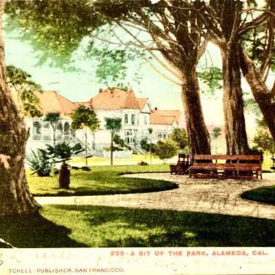 Postcard Jackson Park, 'A bit of the Park', 1908