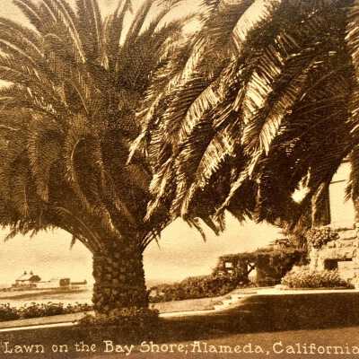 Postcard depicting a Palm Tree in front of the Leonard Mansion, c. early 1900s