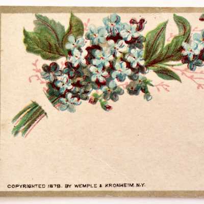 Calling card from the Eisfeldt family, with floral motif, c. 1880s