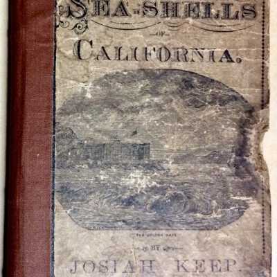 'Common Sea Shells of California' by Josiah Keep, 1881