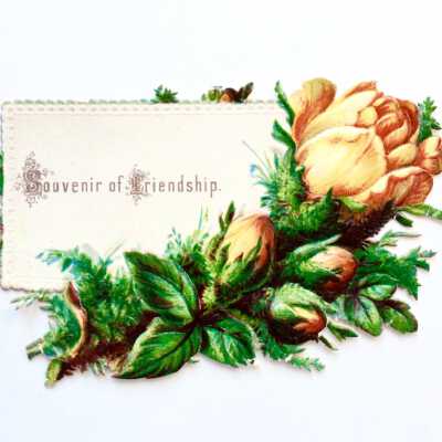 Souvenir of Friendship card, given to Theodore Eisfeldt, c. 1880s