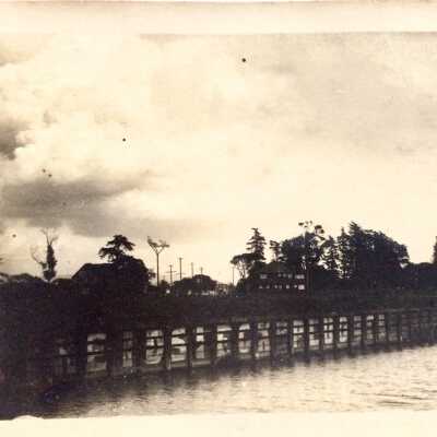 Postcard depicting a shoreline with trees and houses, c. 1900s